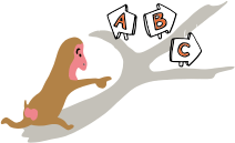 方向性を決める